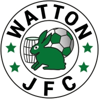 Waveney F.C.